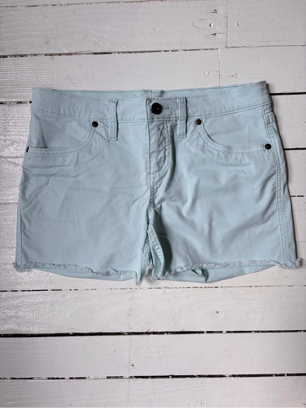 Carve Design Light Blue Mint Shorts